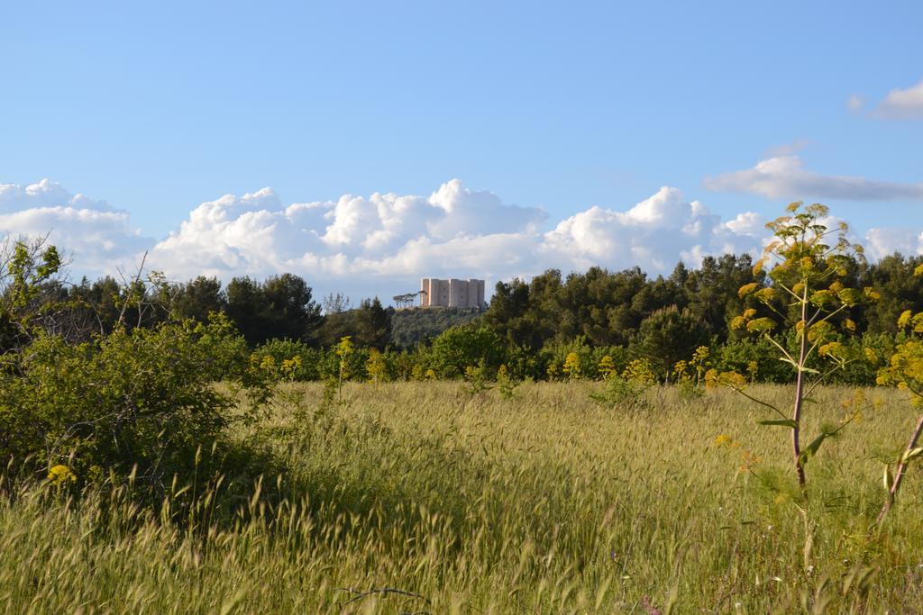 B&B Le Stagioni Castel Del Monte  Buitenkant foto