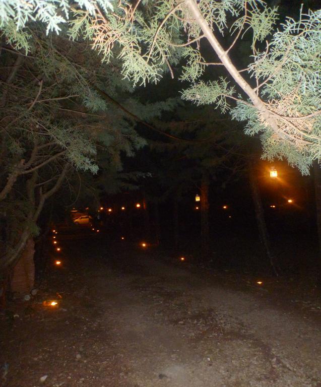 B&B Le Stagioni Castel Del Monte  Buitenkant foto